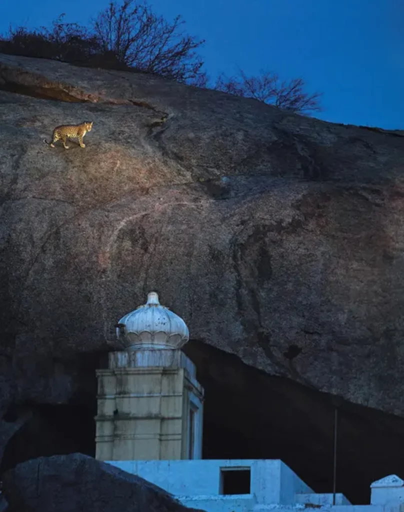 Kavish Jawai Village Resort